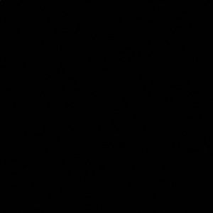 Meet your Posher, Wylkins